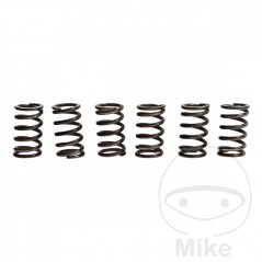 TRW Kit 6 muelles de embrague reforzados 738.94.89