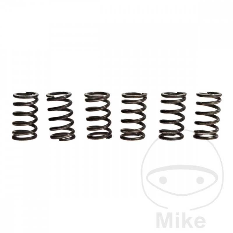 TRW Kit 6 reinforced clutch springs 738.94.89