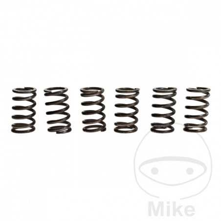 TRW Kit 6 reinforced clutch springs 738.94.89