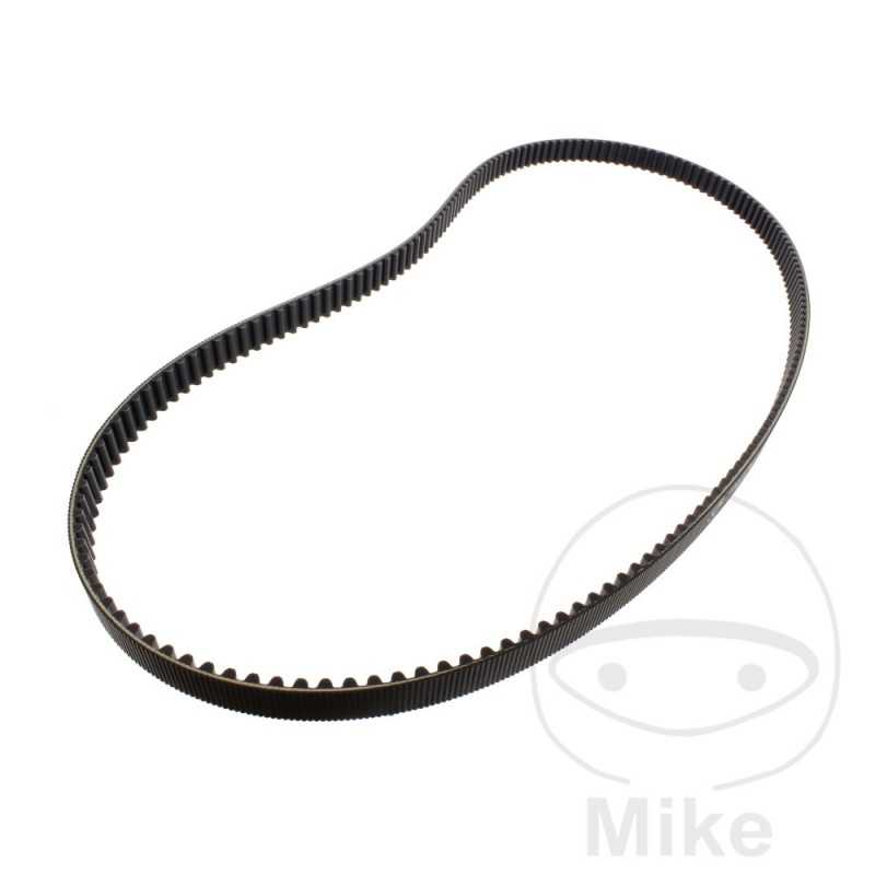 Timing belt OEM 755.03.33