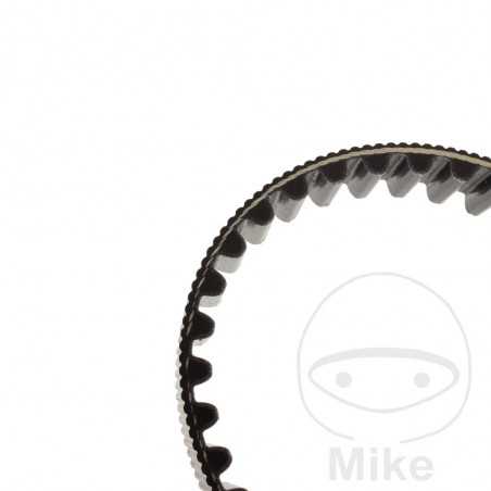 Timing belt OEM 755.03.33