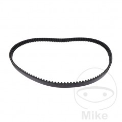 Timing belt OEM 755.04.54