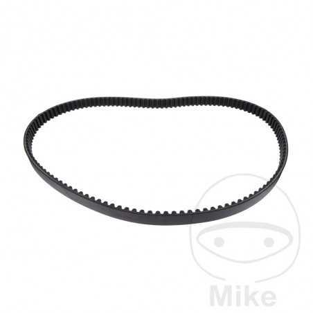 Timing belt OEM 755.04.54