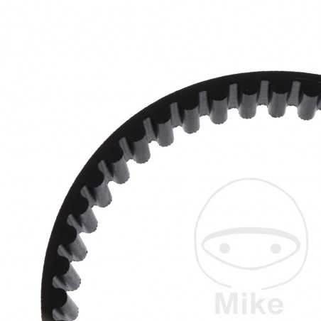 Timing belt OEM 755.04.54
