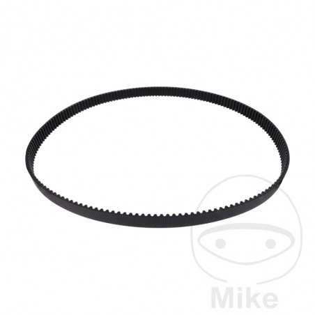 Timing belt OEM 755.04.55
