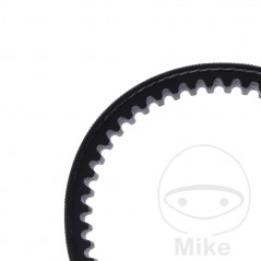 Timing belt OEM 755.04.72