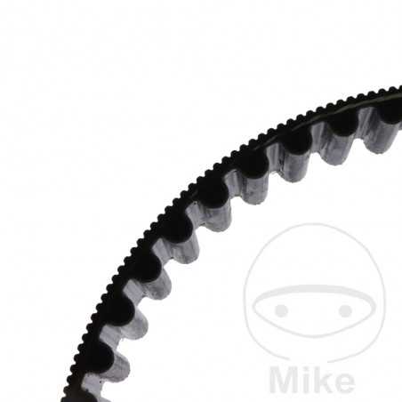 Timing belt OEM 755.04.76