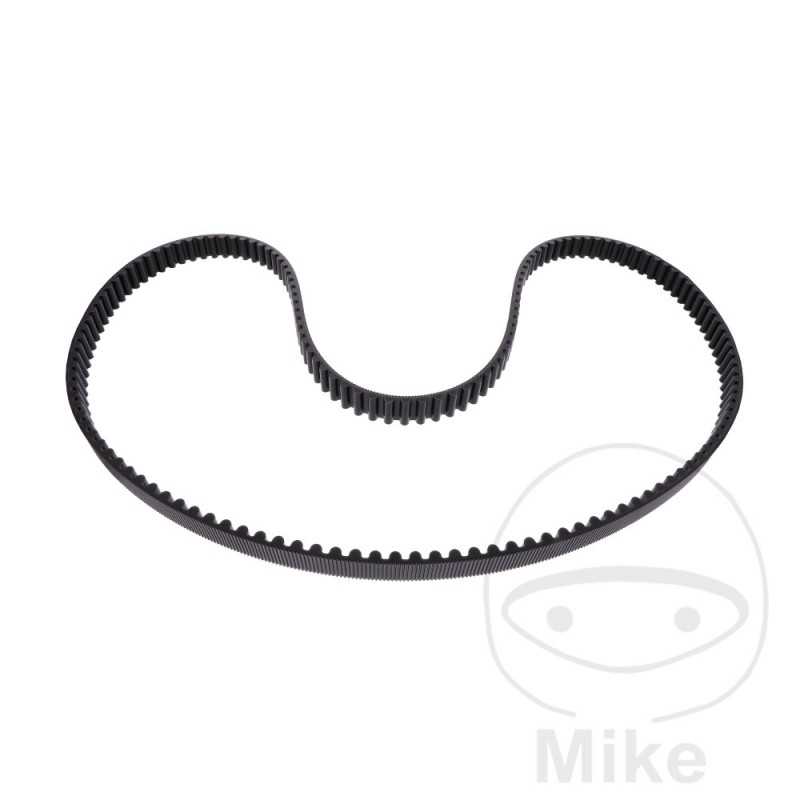 Timing belt OEM 755.04.79