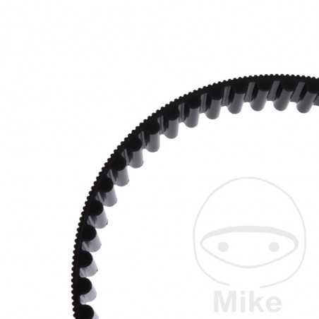 Timing belt OEM 755.04.79