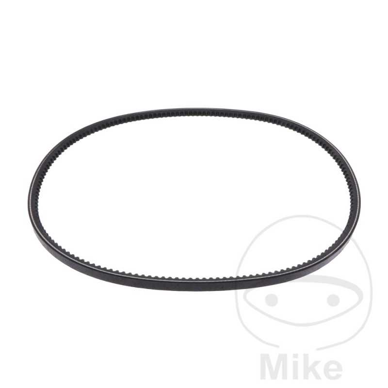 Timing belt OEM 755.04.83