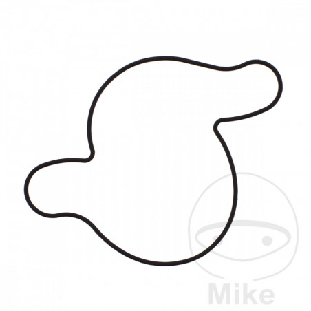TOURMAX Water pump cover gasket 734.22.02