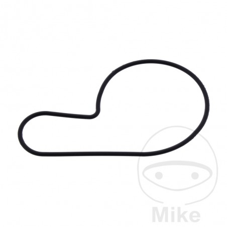 ATHENA Water pump cover gasket 734.53.16