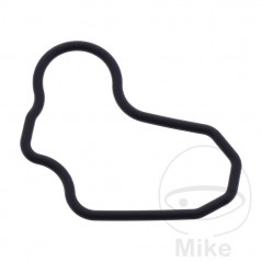 Gasket for oil strainer OEM 734.72.19