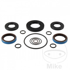 ALL BALLS Differential gasket set 773.16.67