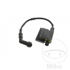 ignition coil with spark plug OEM 700.21.78