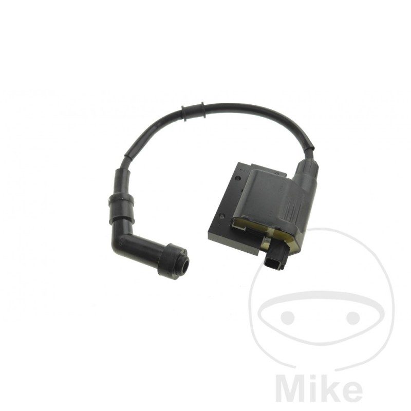 ignition coil with spark plug OEM 700.21.78