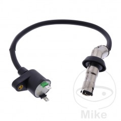 Bobina de encendido con bujía OEM 700.24.98