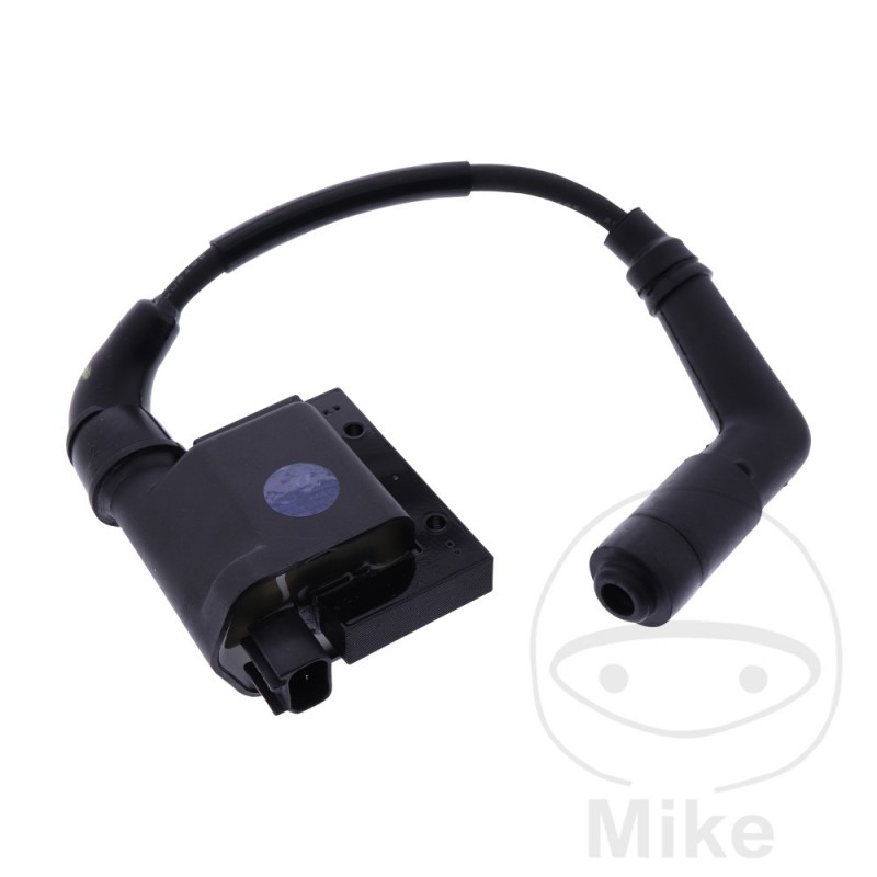 Bobina de encendido con bujía OEM 700.25.07