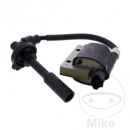 ignition coil with spark plug OEM 700.25.15