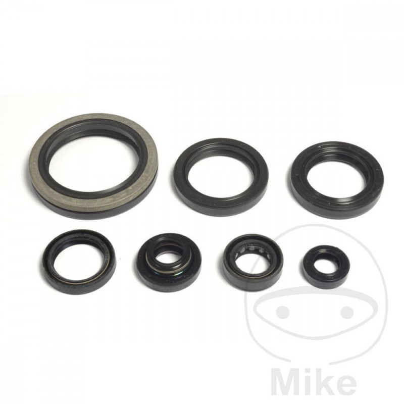 ATHENA seal kit 734.66.06
