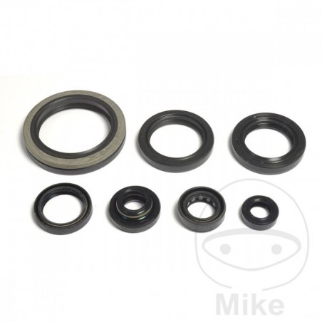 ATHENA seal kit 734.66.06