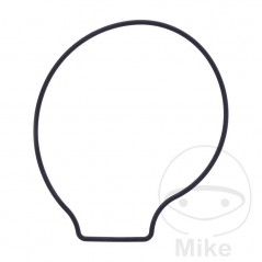 Junta tapa bomba de agua OEM 734.74.73