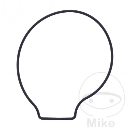 Water pump cover gasket OEM 734.74.73