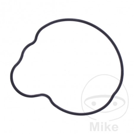 Junta tapa bomba de agua OEM 734.74.76