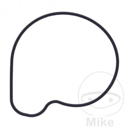 Water pump cover gasket OEM 734.74.77