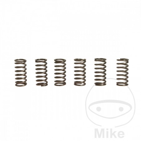 EBC Juego 6 muelles de embrague reforzados 745.06.46