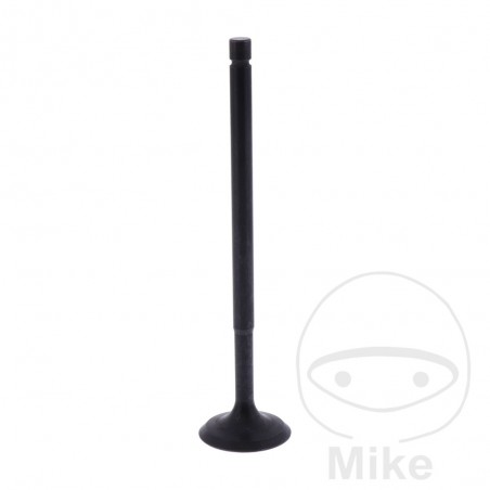 Admission valve OEM 747.13.83