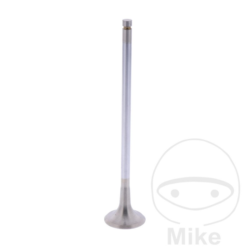 Scape valve OEM 747.14.20