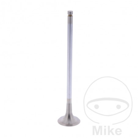 Scape valve OEM 747.14.20