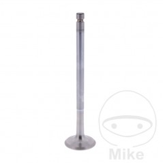 Scape valve OEM 747.15.78