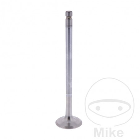 Scape valve OEM 747.15.78