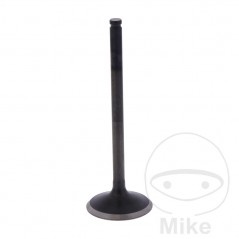 Scape valve OEM 747.16.84