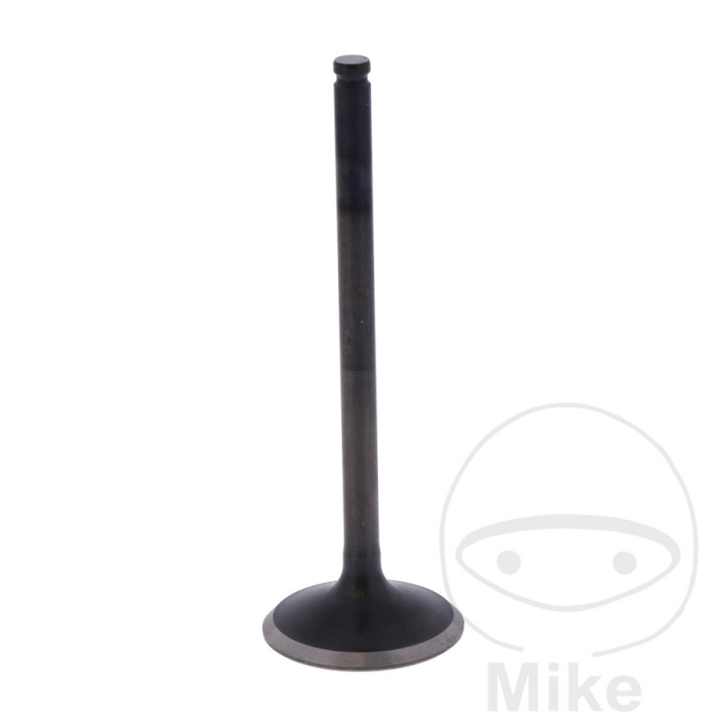 Scape valve OEM 747.16.84