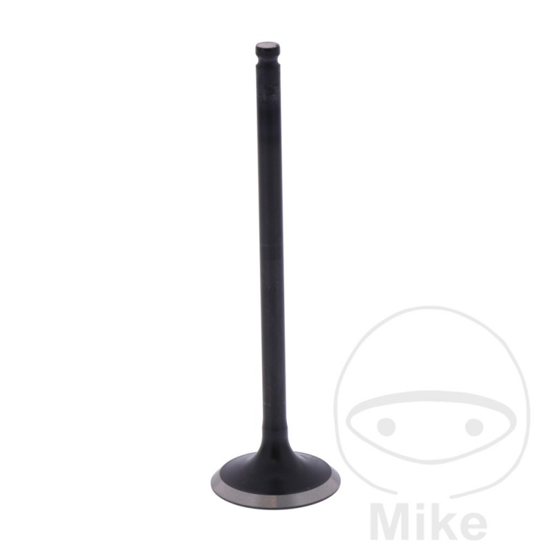 Scape valve OEM 747.16.87