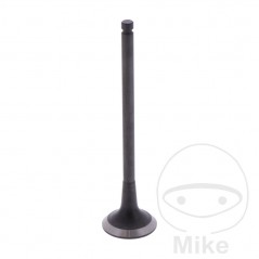 Scape valve OEM 747.17.53