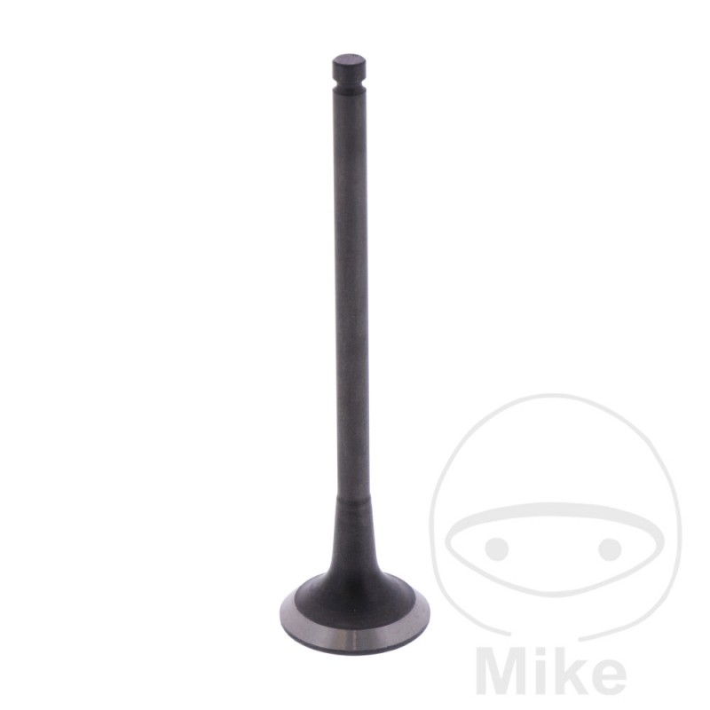 Scape valve OEM 747.17.53