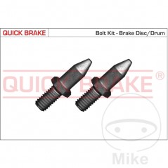 QUICK BRAKE Set of bolts for disc 382.34.27