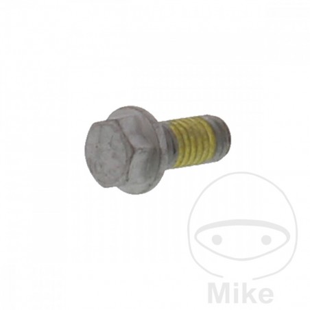 Tornillo para disco de freno OEM M6X1.0X13MM 717.02.09