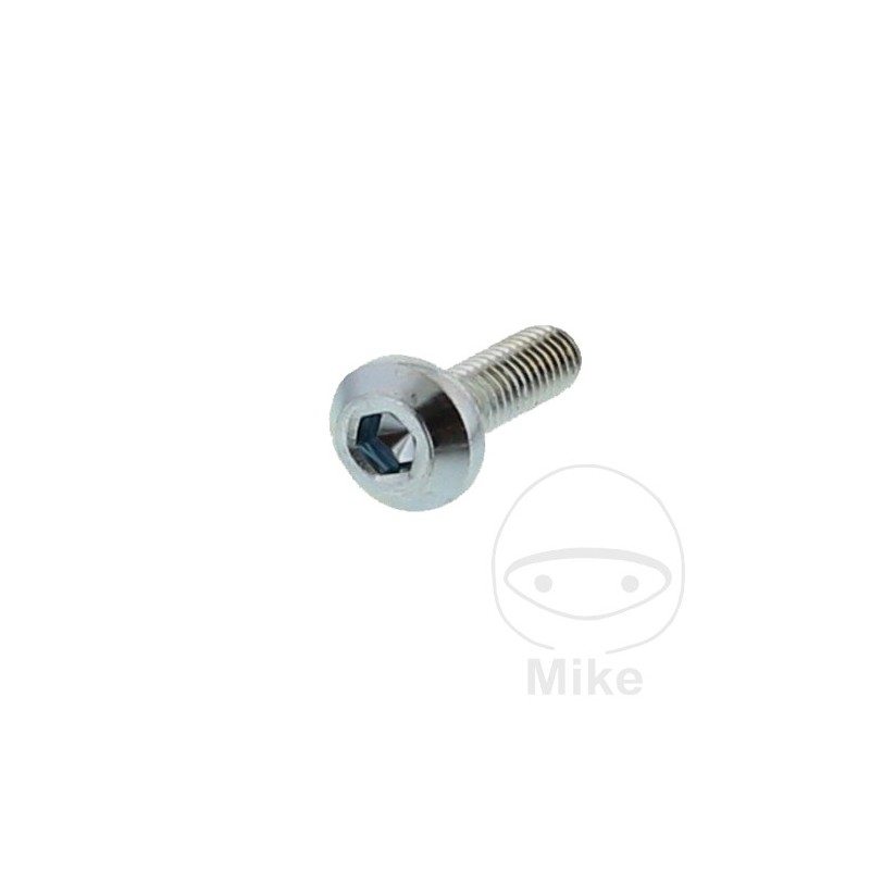 Tornillo para disco de freno OEM M8X1.25X25 MM 717.02.19