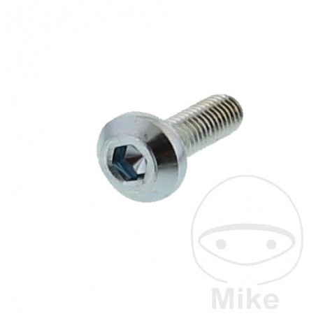 Brake disc screw OEM M8X1.25X25 MM 717.02.19