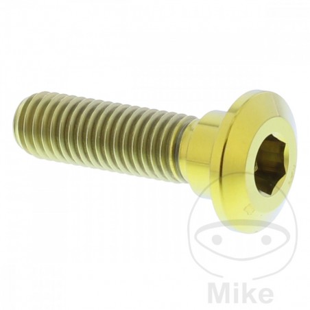 JMP Tornillo para disco de freno M8X1.25 MM 30 TITAN 717.07.68