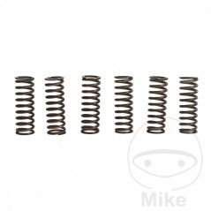 TRW Kit 6 muelles de embrague reforzados 738.71.60