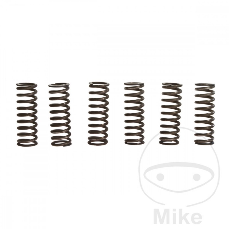 TRW Kit 6 muelles de embrague reforzados 738.71.60