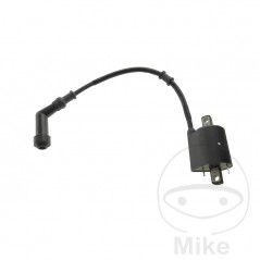 ignition coil with spark plug OEM 700.21.77