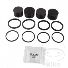 Brake caliper repair kit 717.18.32