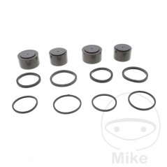 Brake caliper repair kit 717.18.33